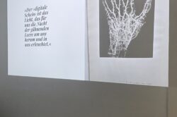 Florian Adolph, video work 2025